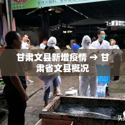 甘肃文县新增疫情 → 甘肃省文县概况