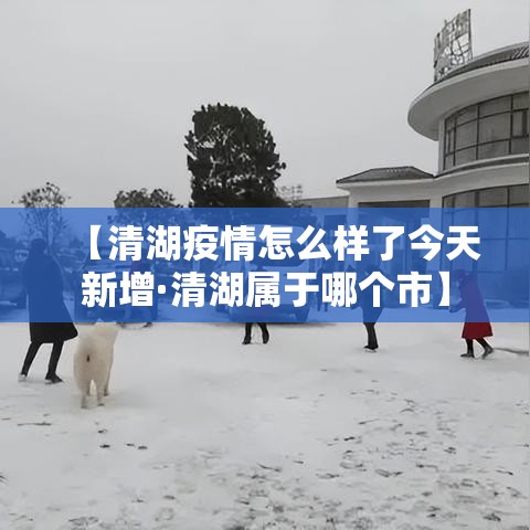 济源疫情今天最新情况—（济源关于疫情最新通知）