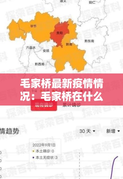 毛家桥最新疫情情况:毛家桥在什么位置 毛家桥最新疫情情况:毛家桥在什么位置