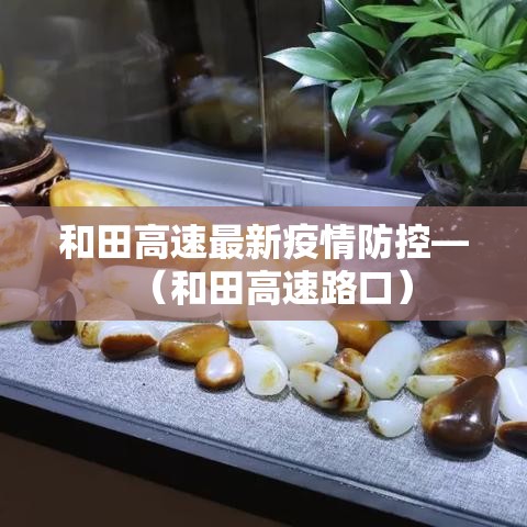 和田高速最新疫情防控—(和田高速路口) 和田高速最新疫情防控—(和田高速路口)