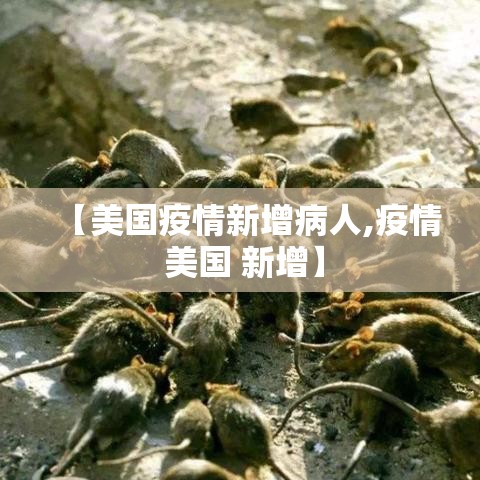【美国疫情新增病人,疫情 美国 新增】
