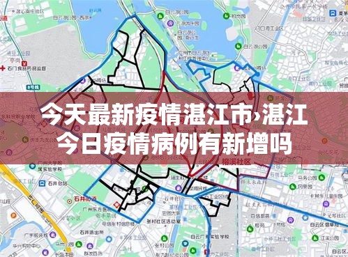 今天最新疫情湛江市›湛江今日疫情病例有新增吗