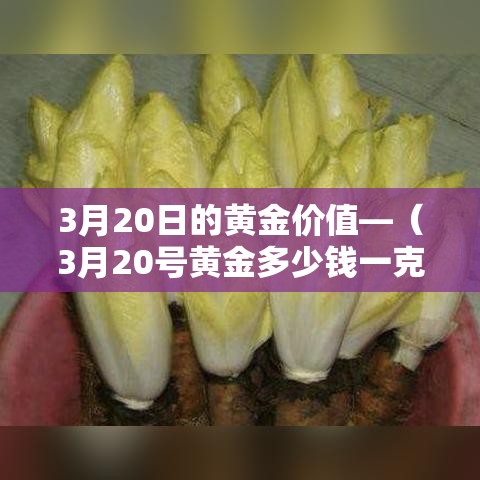 给大家讲解“炸 金花链接房卡哪里买”详细房卡怎么购买教程