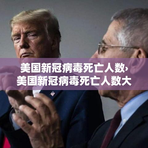 美国新冠病毒死亡人数›美国新冠病毒死亡人数大数据