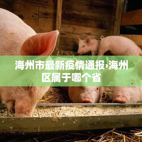 哈尔滨疫情最新情况›哈尔滨疫情最新情况