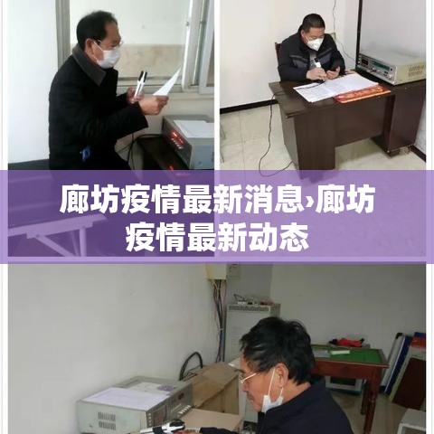 廊坊疫情最新消息›廊坊疫情最新动态