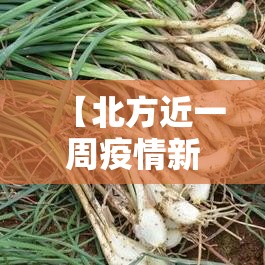 内环限行边界 → 内环内地面限行