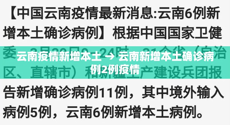 云南疫情新增本土 → 云南新增本土确诊病例2例疫情