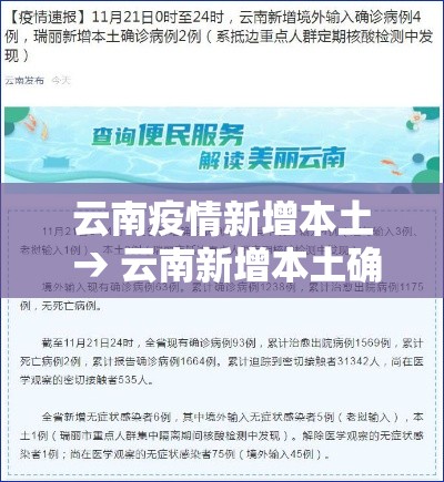 云南疫情新增本土 → 云南新增本土确诊病例2例疫情