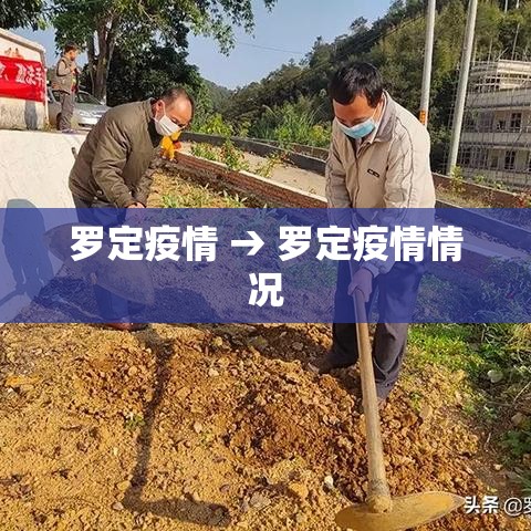 罗定疫情 → 罗定疫情情况