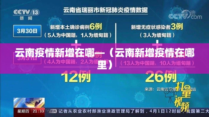 云南疫情新增在哪—（云南新增疫情在哪里）