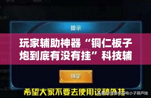 玩家辅助神器“铜仁板子炮到底有没有挂	”科技辅助神器手机版