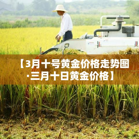给大家讲解“微信牛牛链接版有房卡”链接房卡在哪里获取