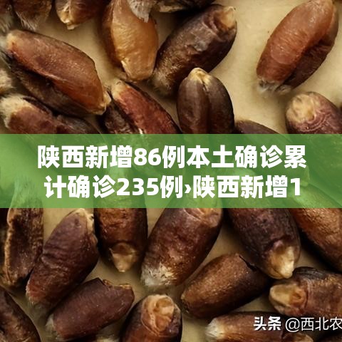 给大家讲解“微信牛牛链接版有房卡”链接房卡在哪里获取