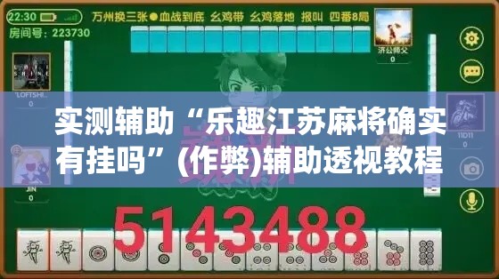 实测辅助“乐趣江苏麻将确实有挂吗”(作弊)辅助透视教程