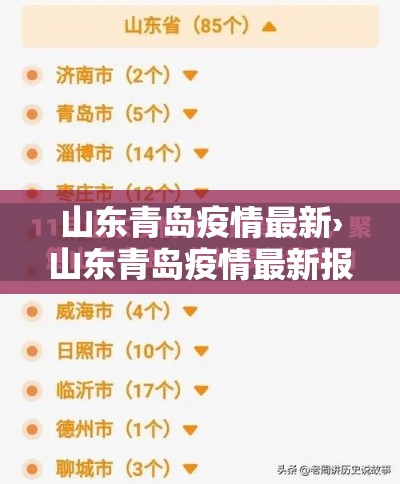 北京为何限行›北京限行目的