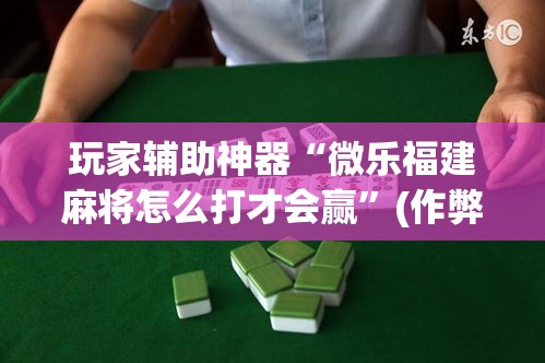 玩家辅助神器“微乐福建麻将怎么打才会赢”(作弊)辅助透视教程