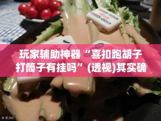 玩家辅助神器“喜扣跑胡子打筒子有挂吗	”(透视)其实确实有挂