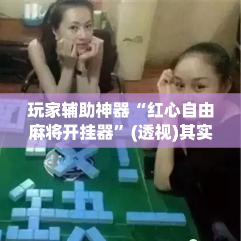 玩家辅助神器“红心自由麻将开挂器”(透视)其实确实有挂