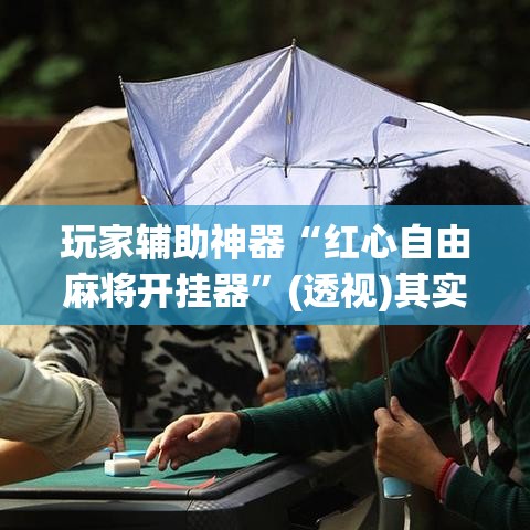 玩家辅助神器“红心自由麻将开挂器”(透视)其实确实有挂