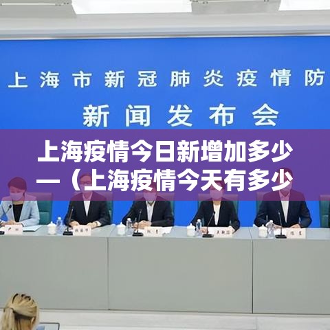 泌阳疫情最新消息›泌阳疫情情况