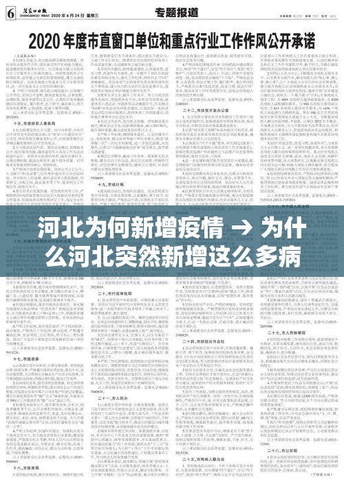 河北为何新增疫情 → 为什么河北突然新增这么多病例