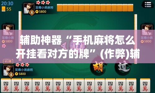 辅助神器“手机麻将怎么开挂看对方的牌”(作弊)辅助透视教程