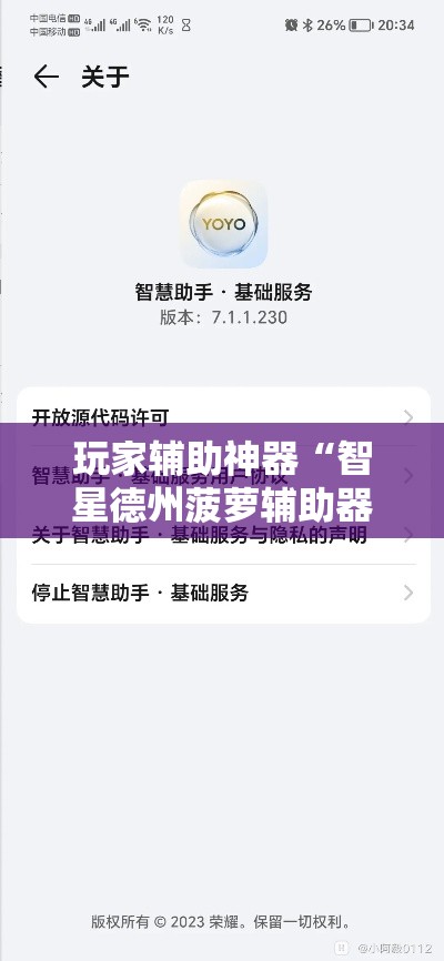 玩家辅助神器“智星德州菠萝辅助器下载安装”分享用挂教程