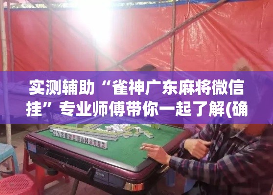 实测辅助“雀神广东麻将微信挂”专业师傅带你一起了解(确实有挂