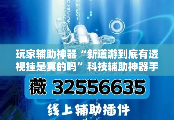 玩家辅助神器“新道游到底有透视挂是真的吗”科技辅助神器手机版