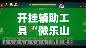 开挂辅助工具“微乐山东麻将免费挂!详细分享装挂步骤