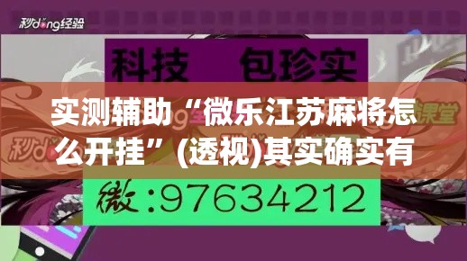 实测辅助“微乐江苏麻将怎么开挂”(透视)其实确实有挂