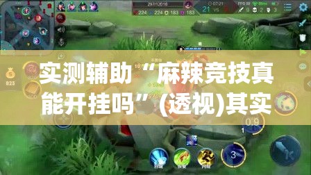 实测辅助“麻辣竞技真能开挂吗	”(透视)其实确实有挂