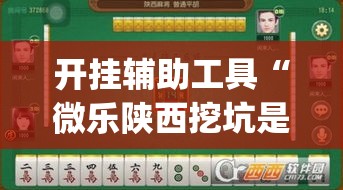 开挂辅助工具“微乐陕西挖坑是不是有挂”(透视)其实确实有挂