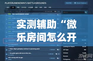 实测辅助“微乐房间怎么开挂视频”专业师傅带你一起了解(确实有挂