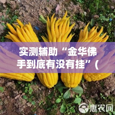 科普一下“牛牛炸 金花房卡	”详细房卡使用教程
