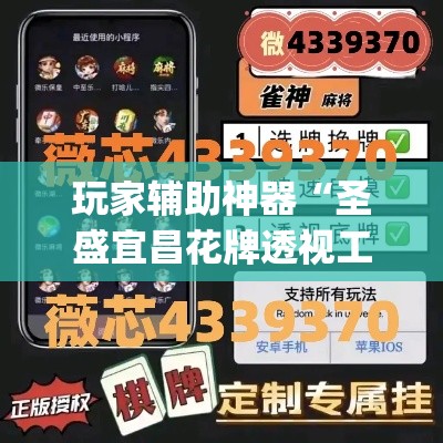玩家辅助神器“圣盛宜昌花牌透视工具”专业师傅带你一起了解(确实有挂