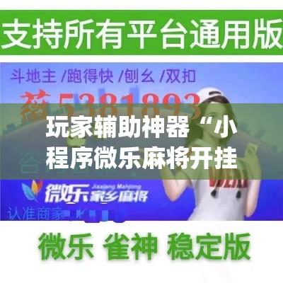 玩家辅助神器“小程序微乐麻将开挂神器下载	”(作弊)辅助透视教程