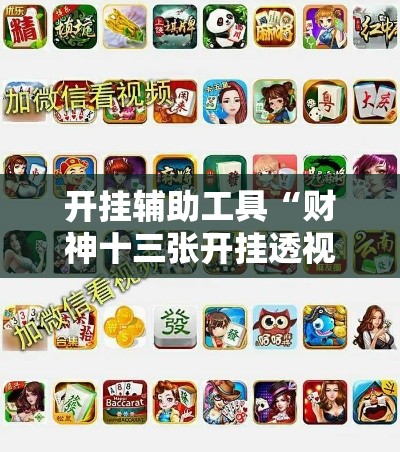 开挂辅助工具“财神十三张开挂透视软件”科技辅助神器手机版