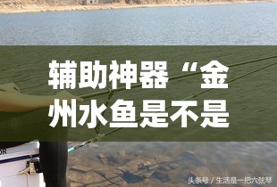 辅助神器“金州水鱼是不是有挂”专业师傅带你一起了解(确实有挂