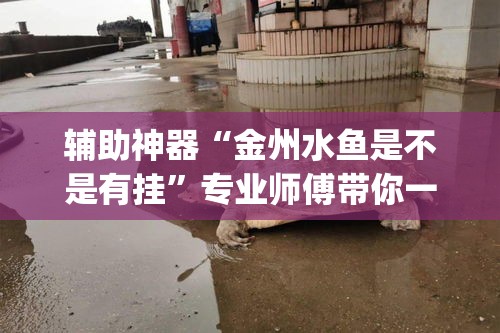 辅助神器“金州水鱼是不是有挂”专业师傅带你一起了解(确实有挂