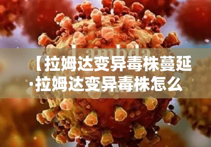 给大家讲解“微信金花房卡怎样购买”链接房卡在哪里获取
