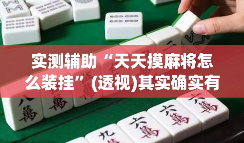 实测辅助“天天摸麻将怎么装挂	”(透视)其实确实有挂
