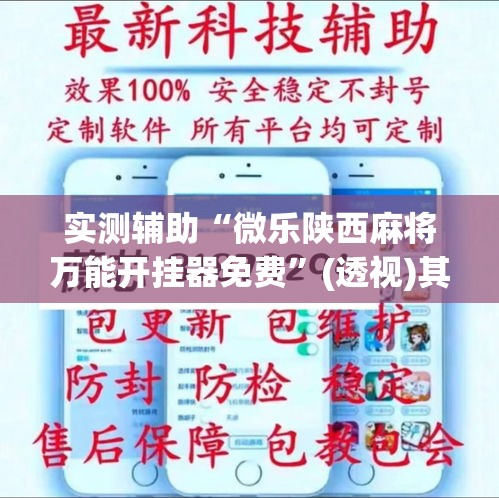 实测辅助“微乐陕西麻将万能开挂器免费”(透视)其实确实有挂
