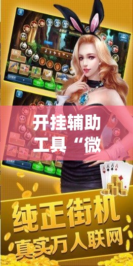 开挂辅助工具“微乐捉鸡麻将有挂吗”专业师傅带你一起了解(确实有挂
