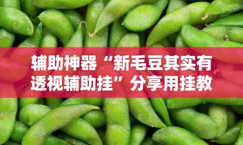 辅助神器“新毛豆其实有透视辅助挂	”分享用挂教程