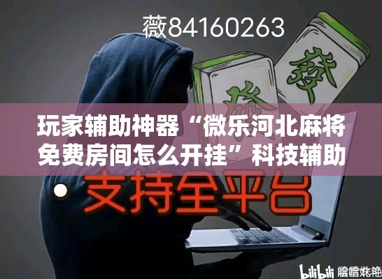 玩家辅助神器“微乐河北麻将免费房间怎么开挂”科技辅助神器手机版