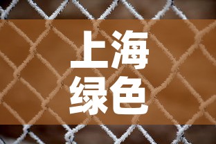 上海绿色铝合金价格网—(上海铝合金回收价格多少钱一斤) 上海绿色铝合金价格网—(上海铝合金回收价格多少钱一斤)