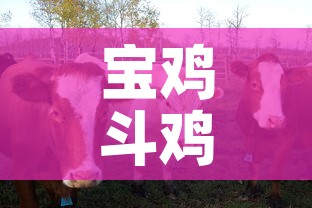 给大家讲解“微信链接炸金花房卡充值购买”轻松获取房卡全渠道