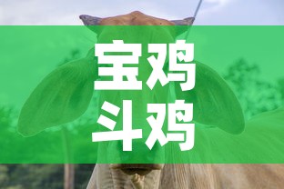 房卡必备教程“微信金花房卡在哪买”购买房卡介绍